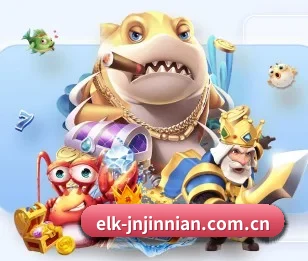 elk-jnjinnian.com.cn的故事